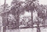 Plaza de la Constitución. 1955